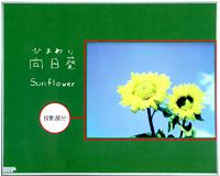 写真:その4