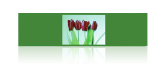 Picture: Inner Coating Goods